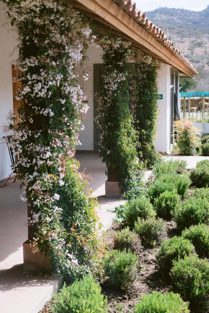 Hotel Casablanca BCW