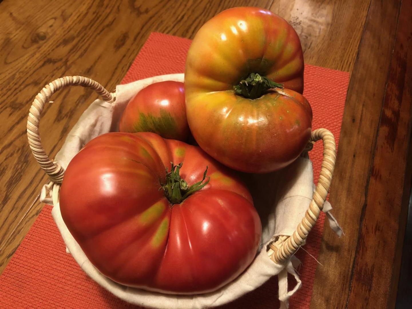 Hotel Casablanca BCW