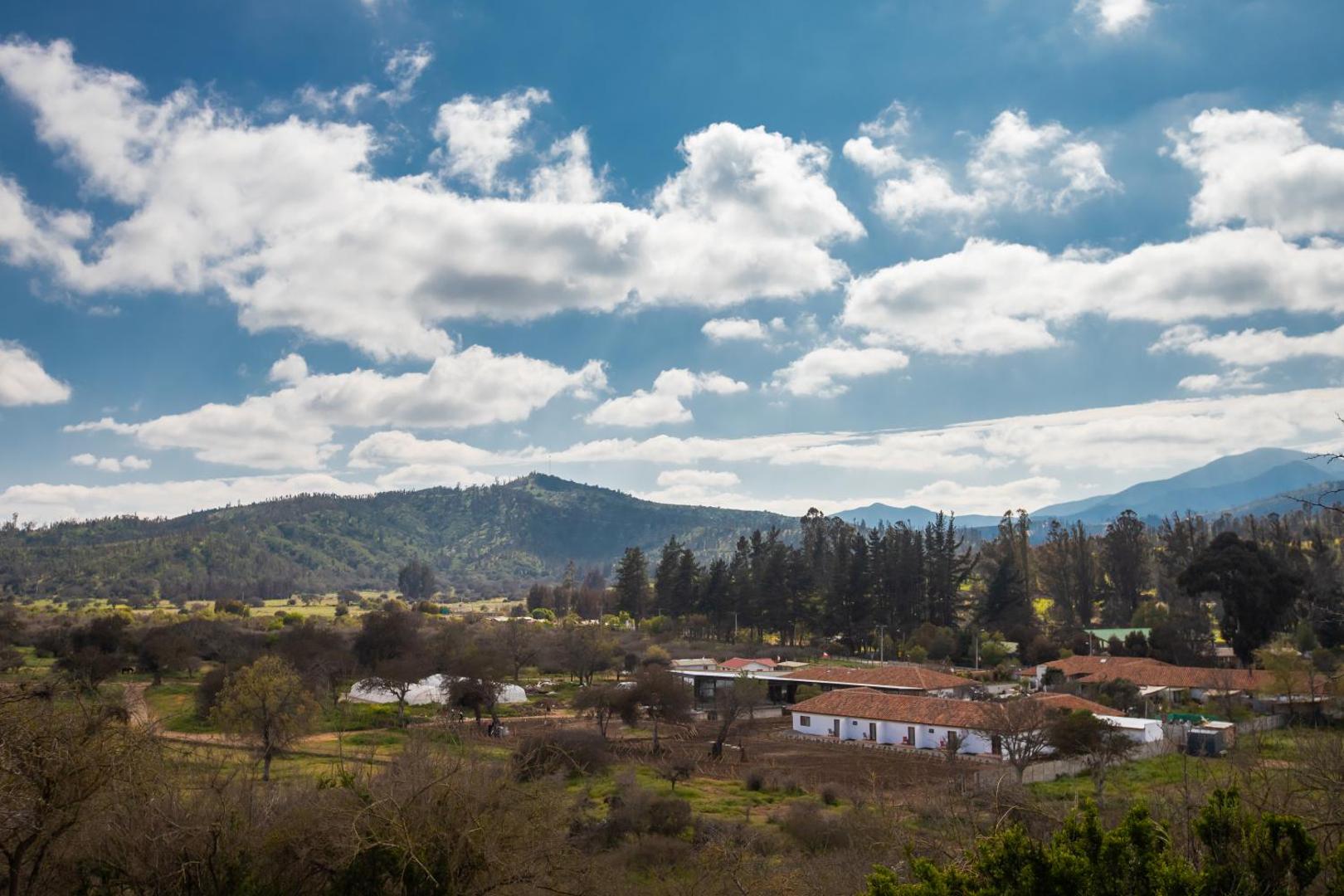 Hotel Casablanca BCW