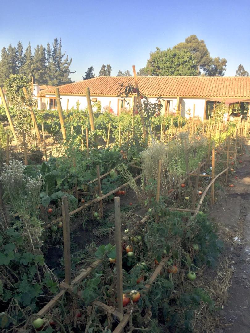 Hotel Casablanca BCW