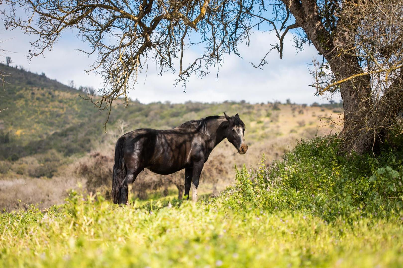 Hotel Casablanca BCW