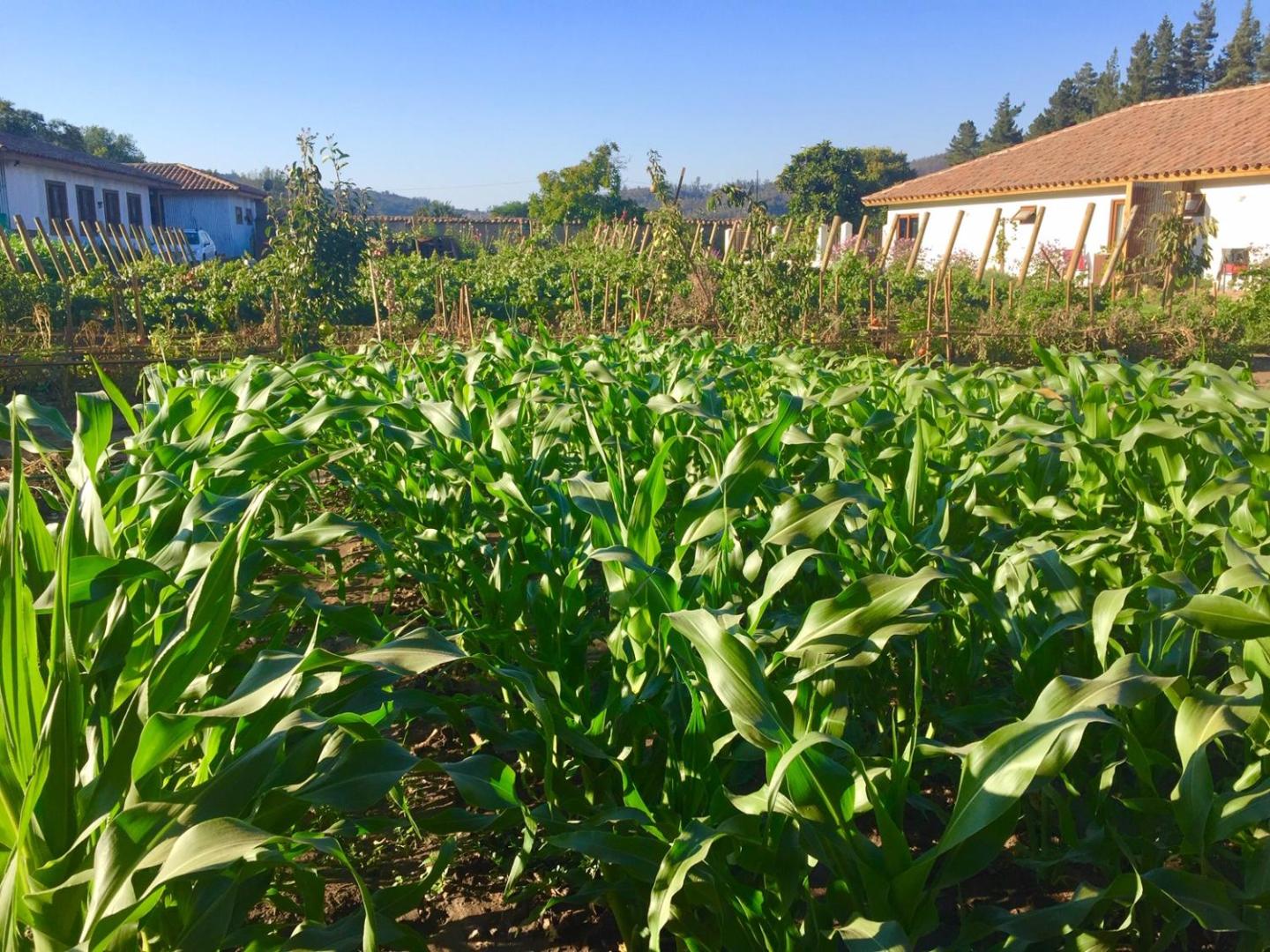 Hotel Casablanca BCW