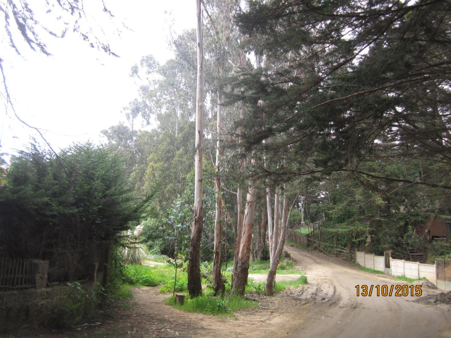 Cabanas Tu Bosque