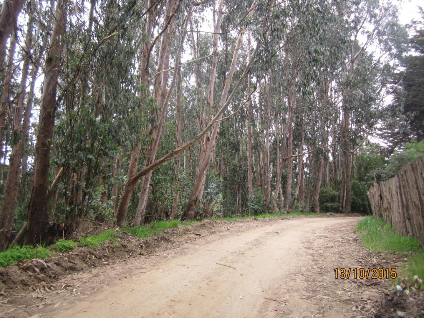 Cabanas Tu Bosque