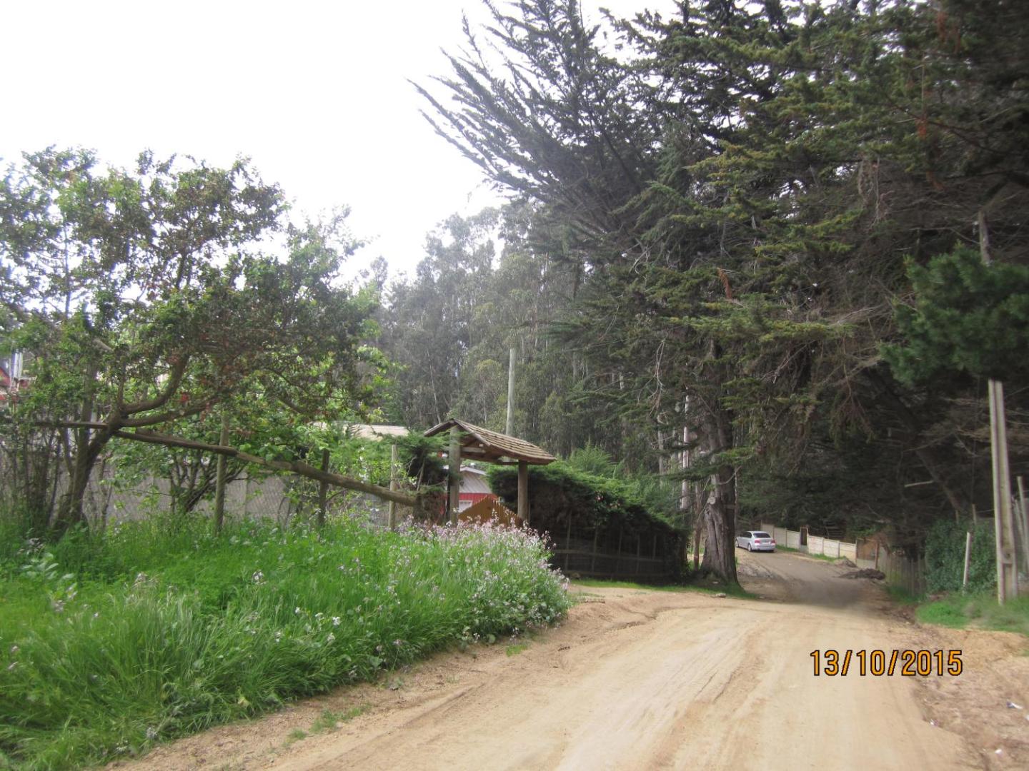 Cabanas Tu Bosque