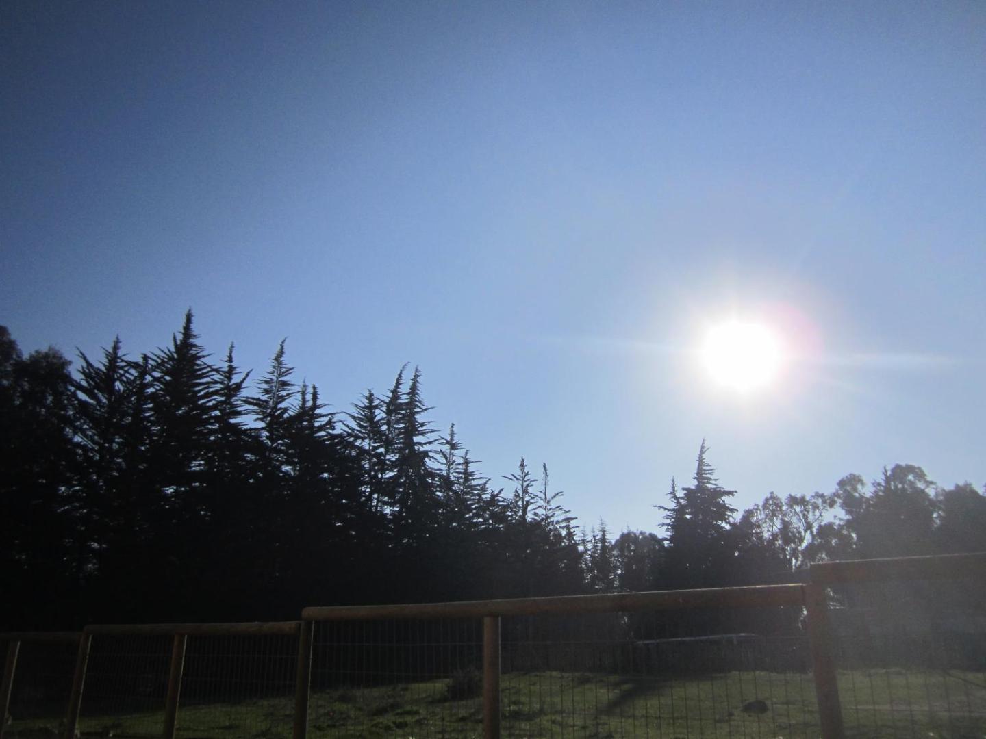 Cabanas Tu Bosque