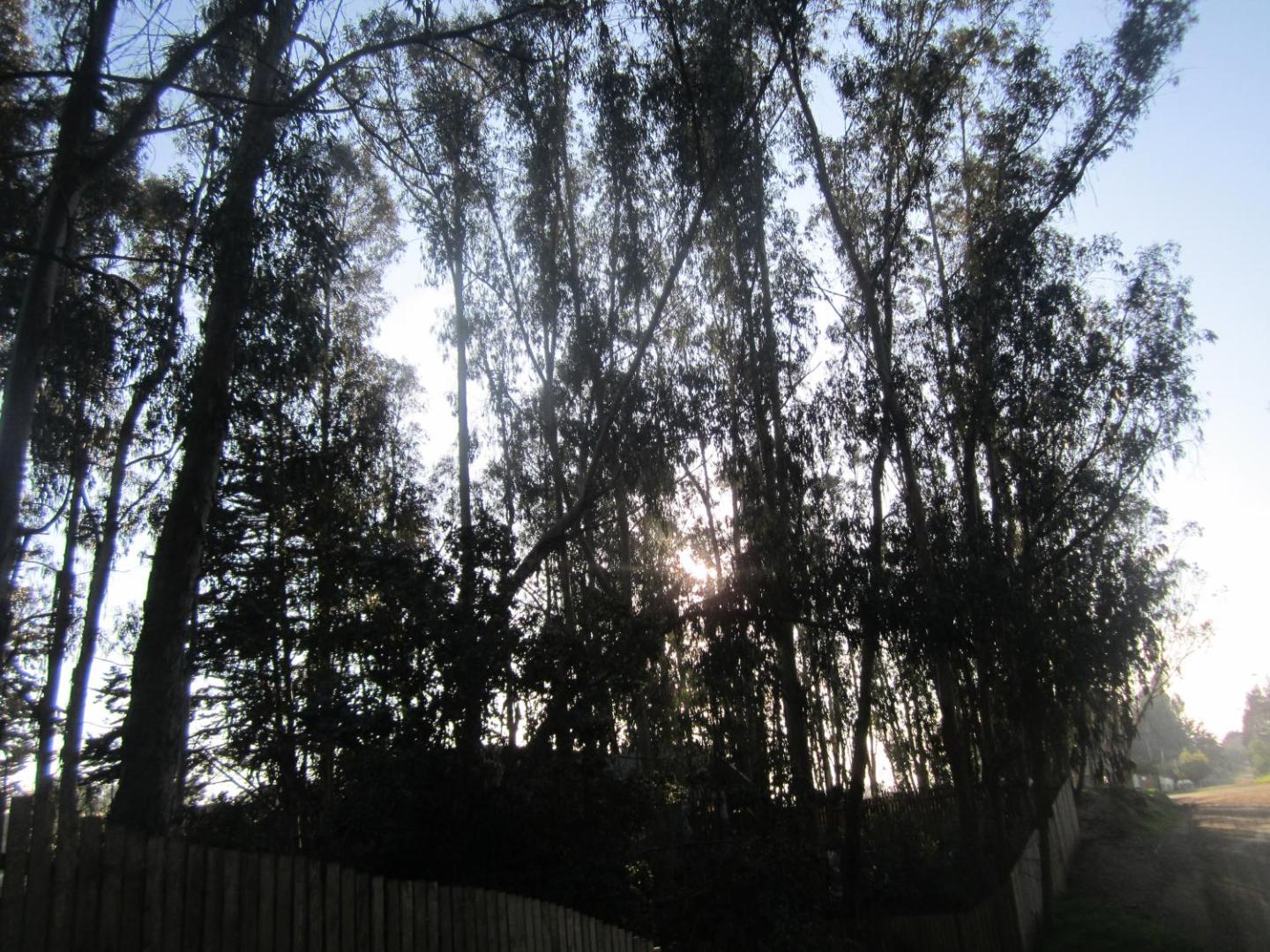 Cabanas Tu Bosque