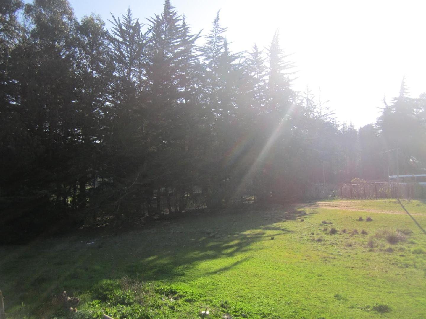 Cabanas Tu Bosque