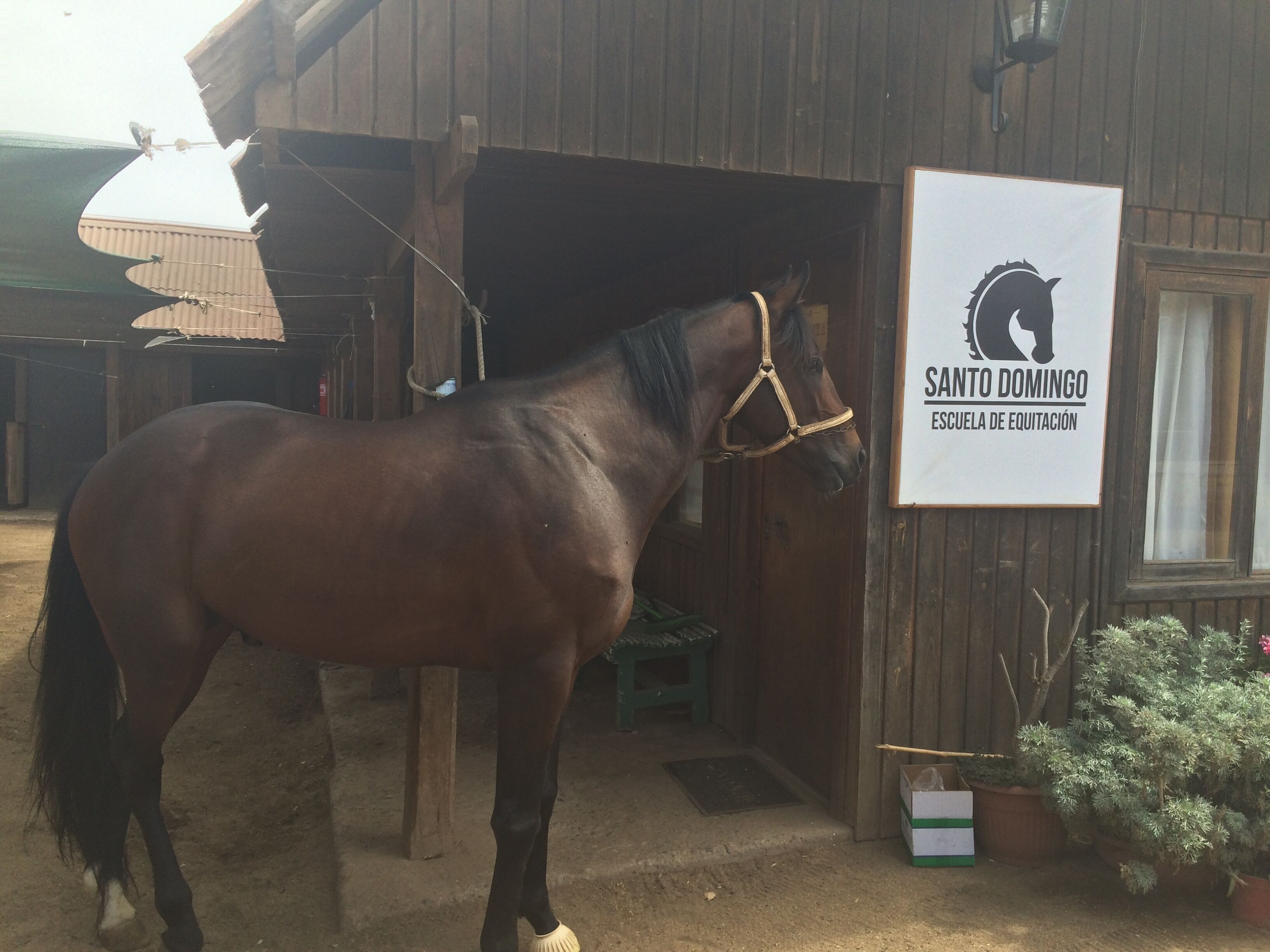 Hotel Scandinavia B&B