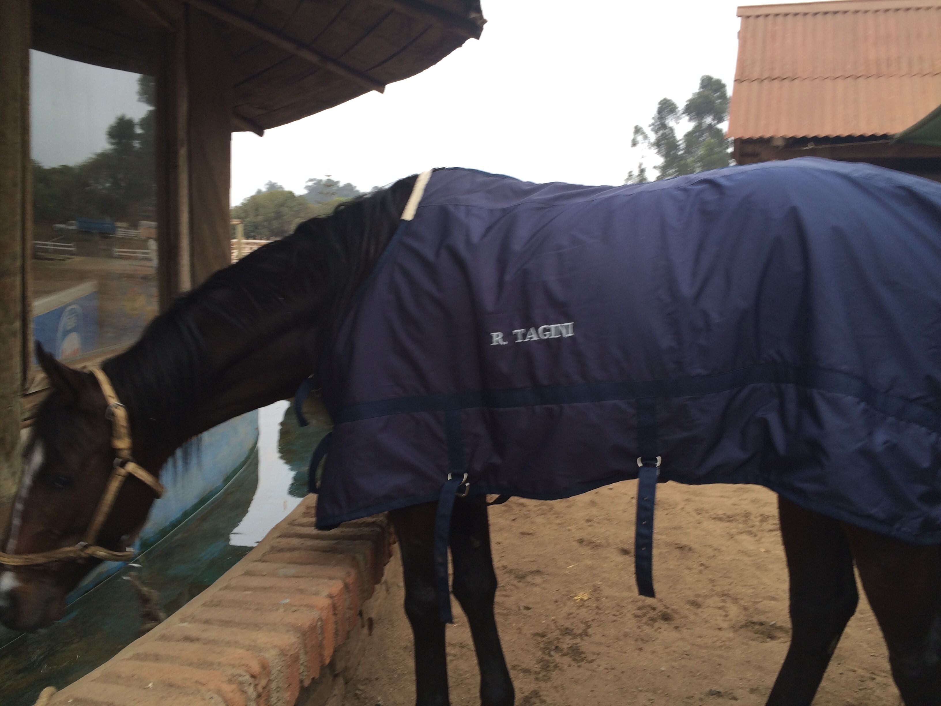 Hotel Scandinavia B&B