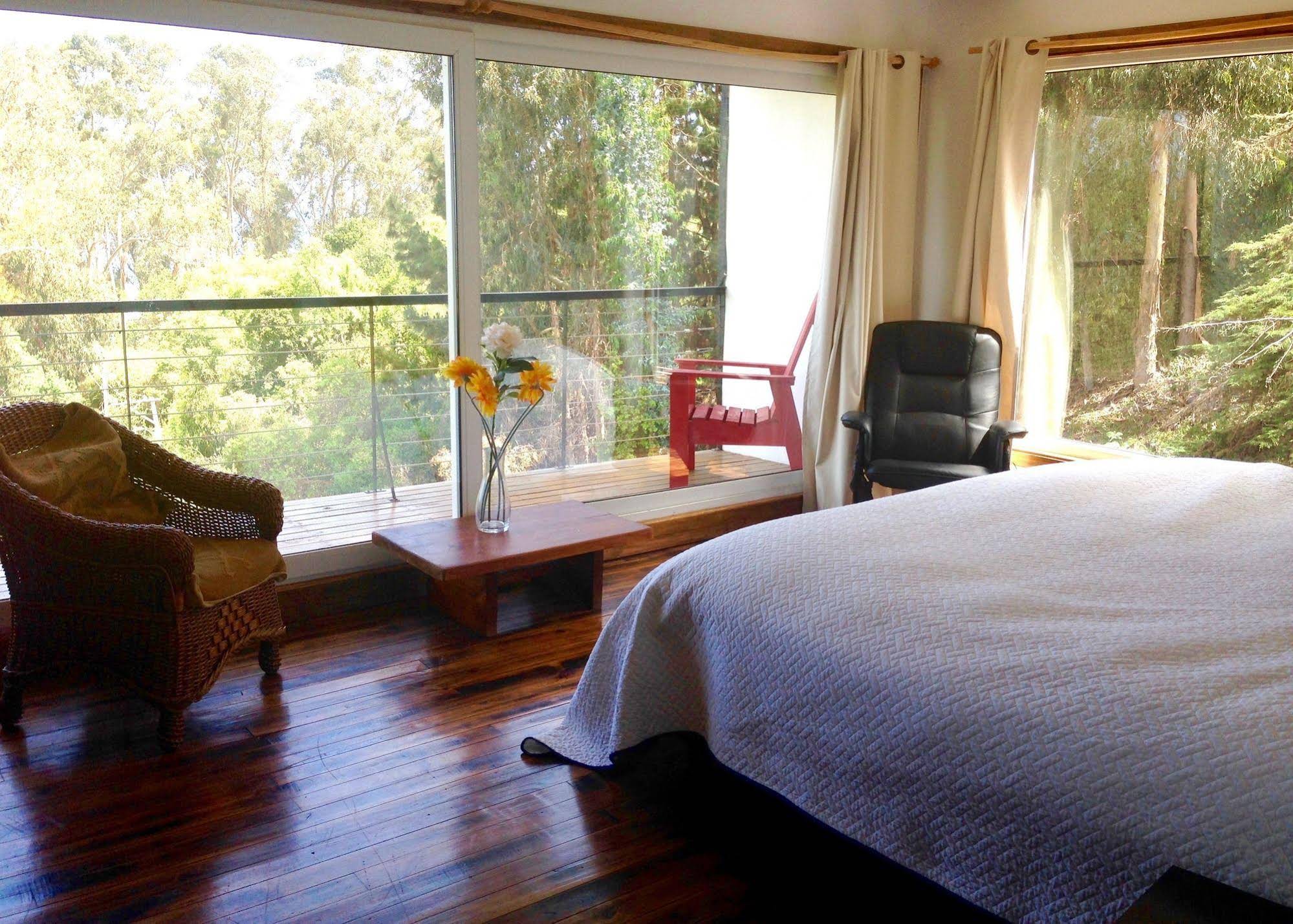 B&B Casa el Pangue Zapallar