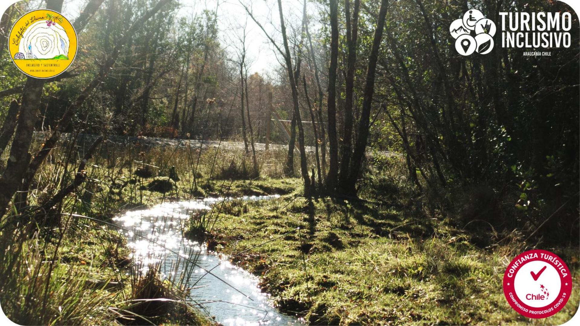 Centro Turistico Calafates del Llaima