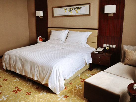 Arcadia International Hotel Cangzhou