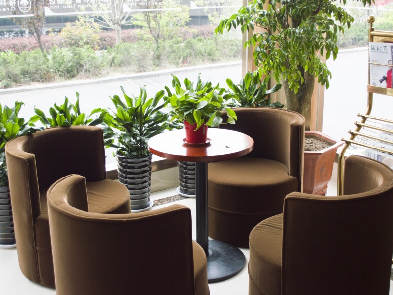 Greentree Inn Hefei Luyang District North Fuyang Road Luyang Industrial Park Express Hotel