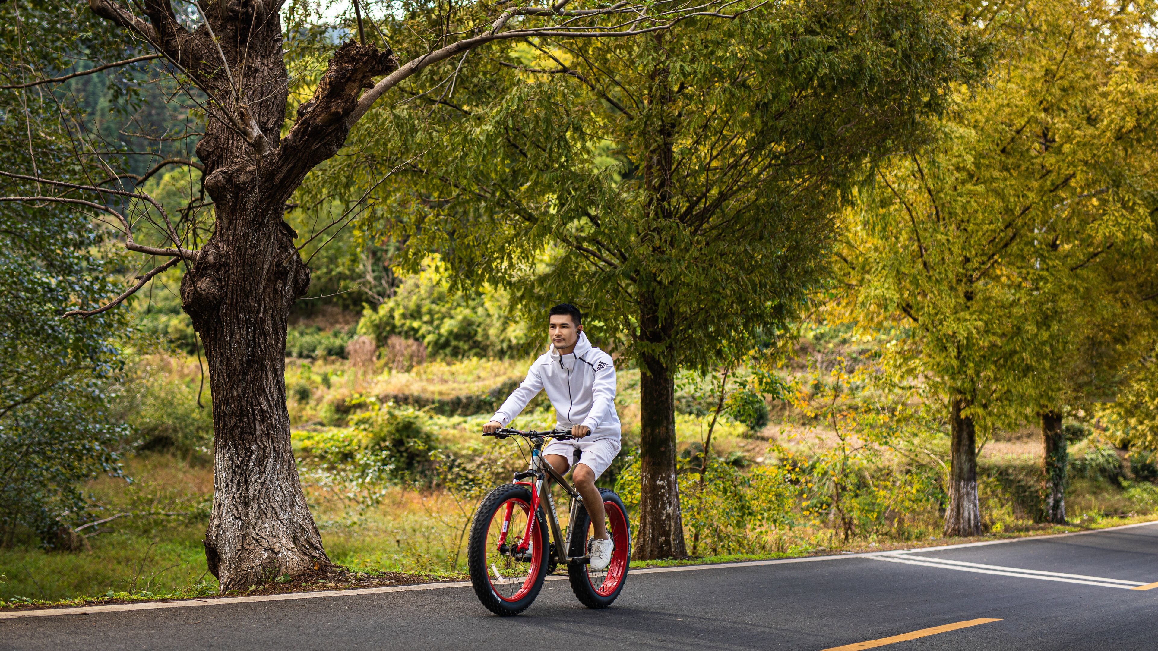Banyan Tree Huangshan