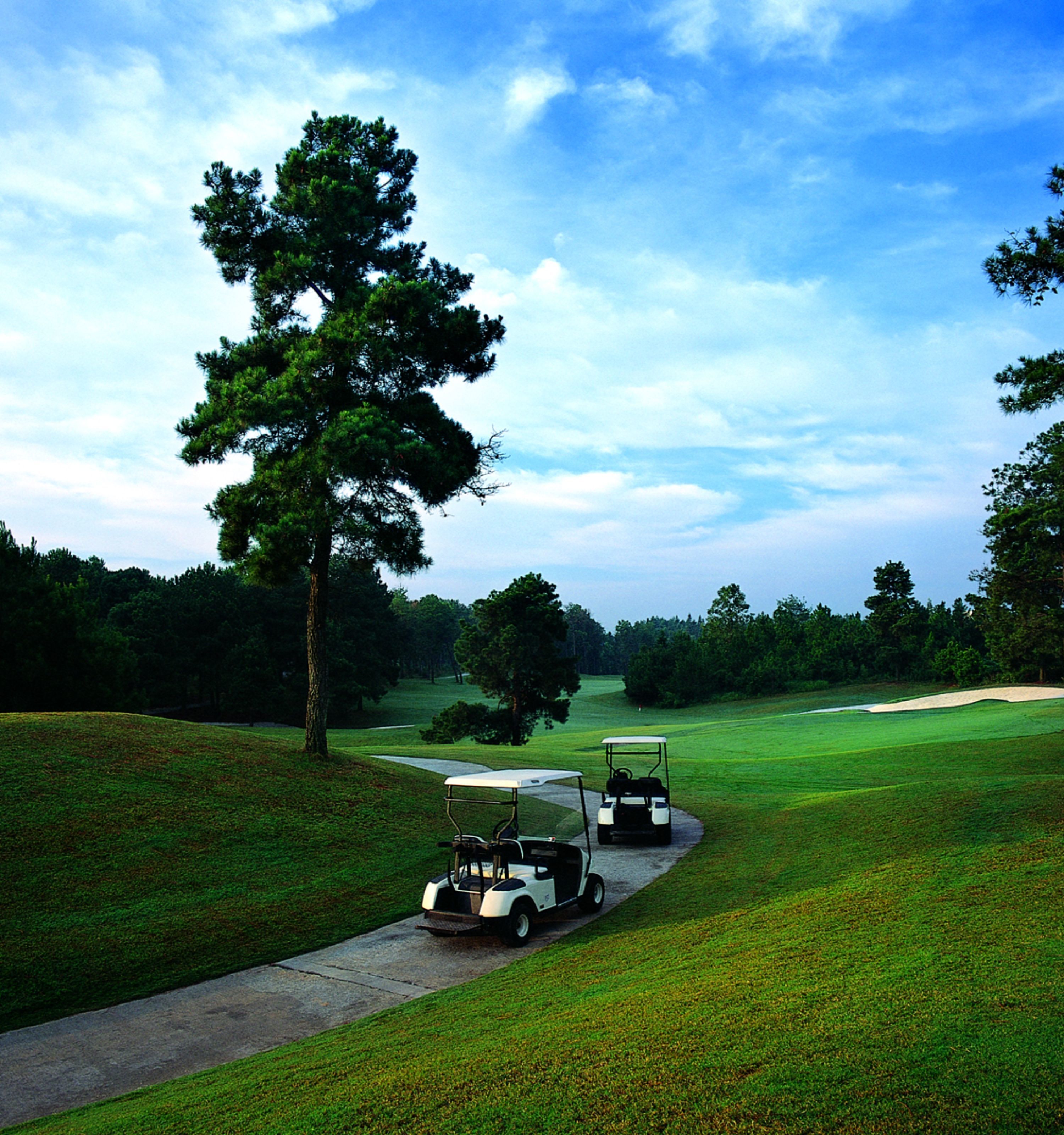 Huangshan Four Seasons Junsheng Hotel