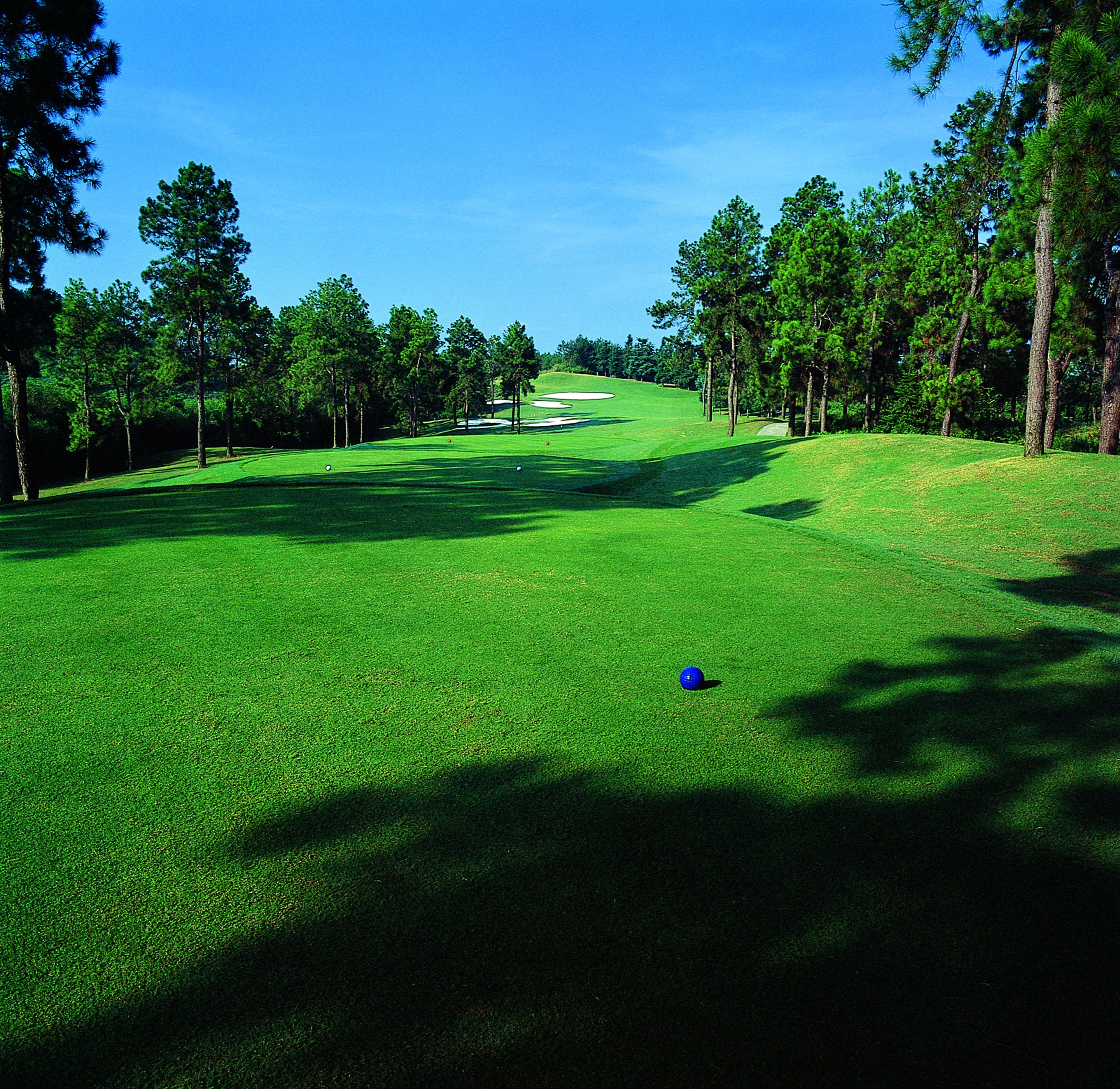 Huangshan Four Seasons Junsheng Hotel