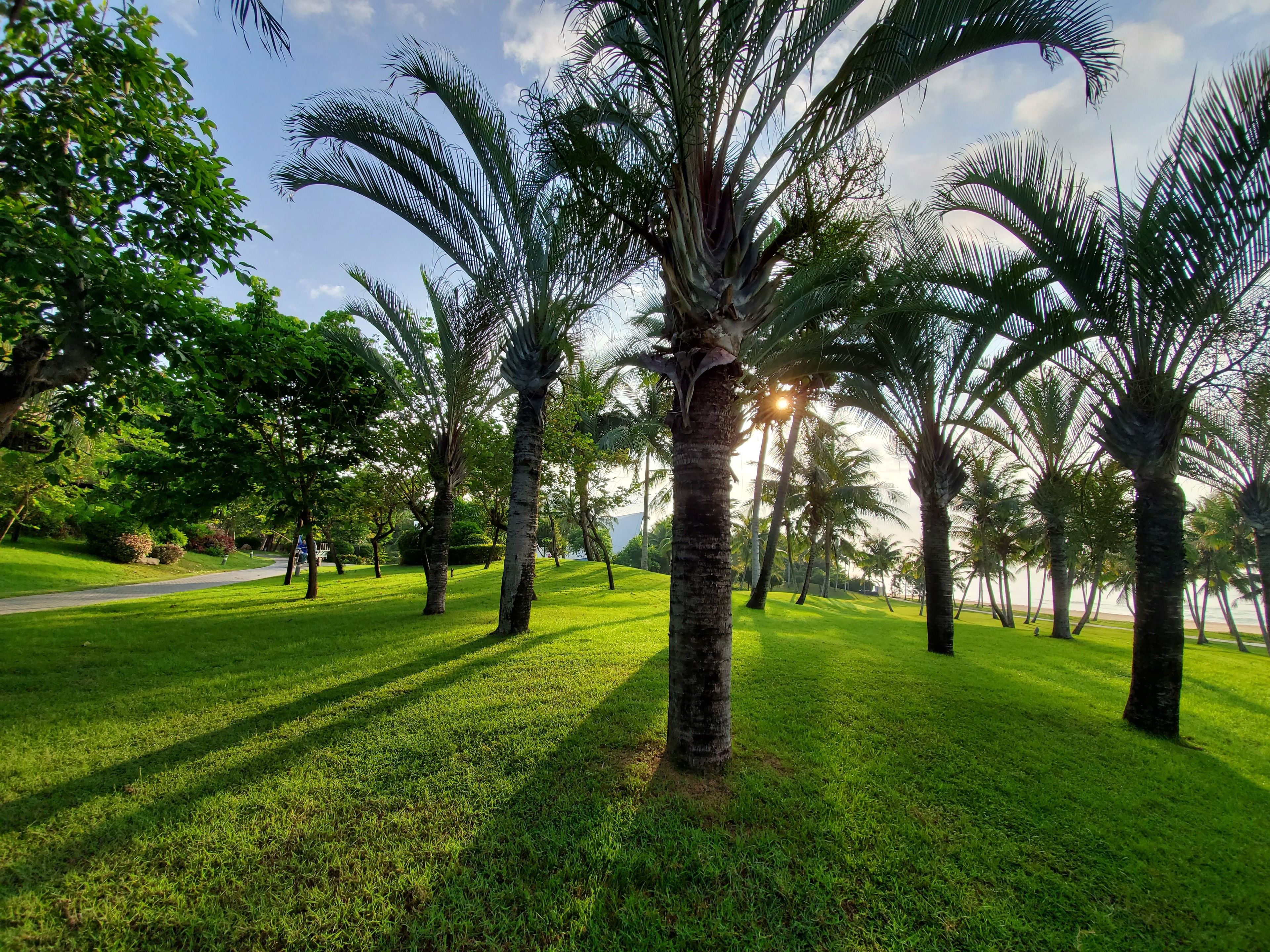 Amanda Seaview Resort Apartment