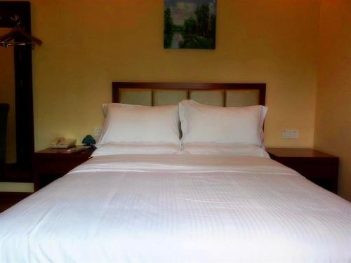 Greentree Inn Sanya He Ping Street Hotel