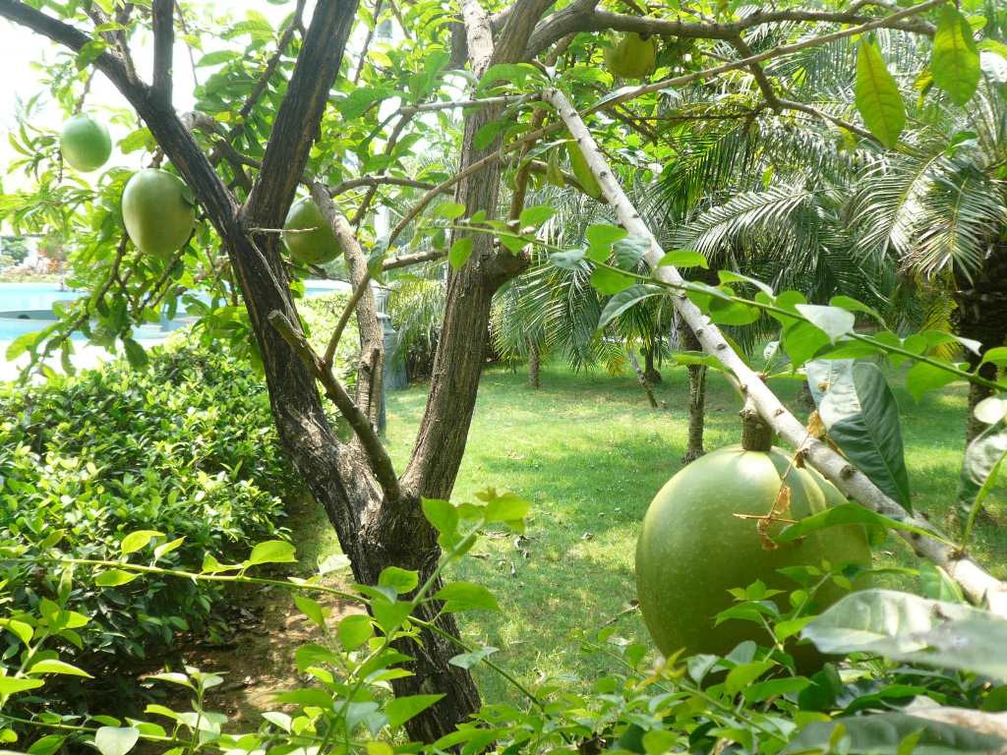 Tianfuyuan Resort Sanya Marina