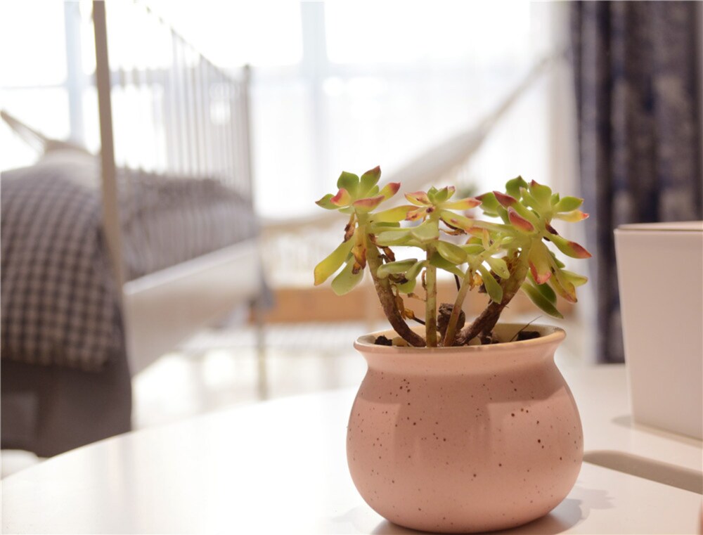 Bushe Apartment
