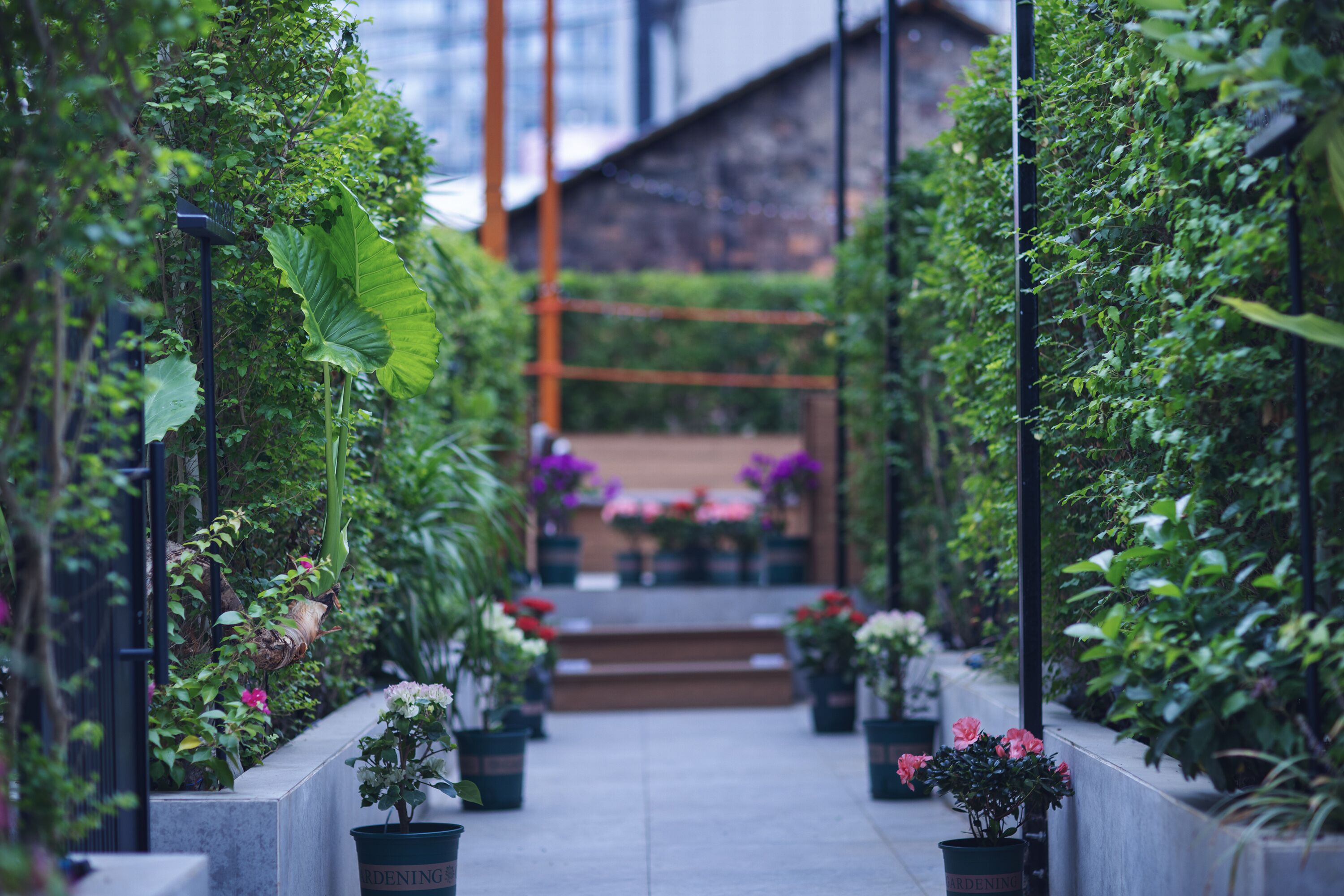 From K Hotel Changsha Wuyi Square IFS