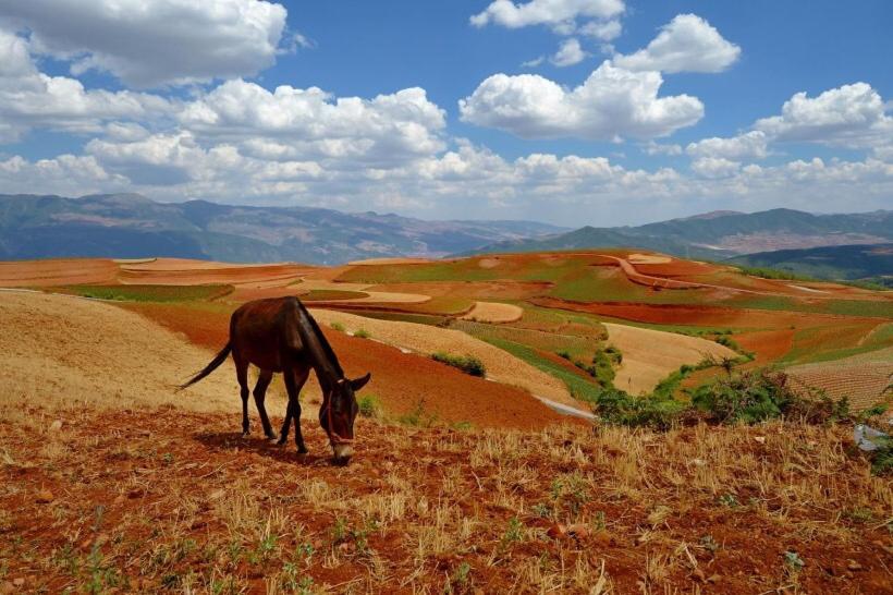 Red Land Plough Farm Stay