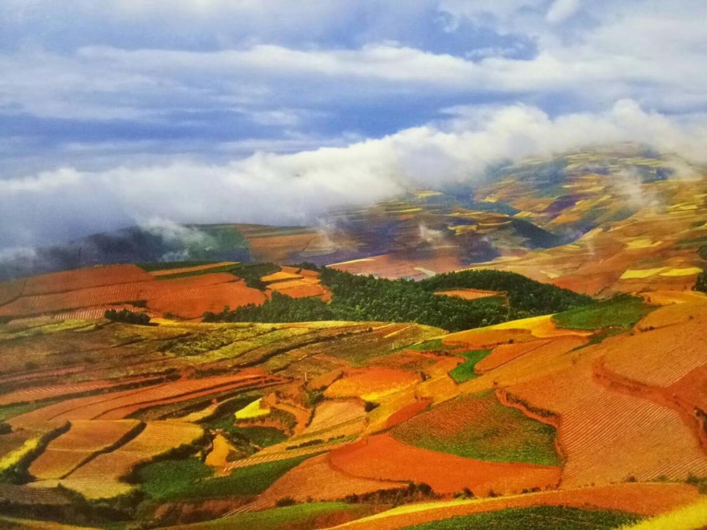 Red Land Plough Farm Stay