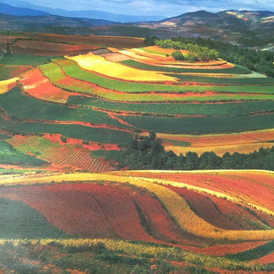 Red Land Plough Farm Stay