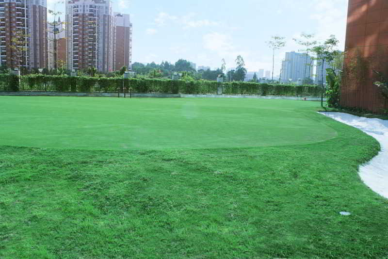 Grand Skylight International Guanlan