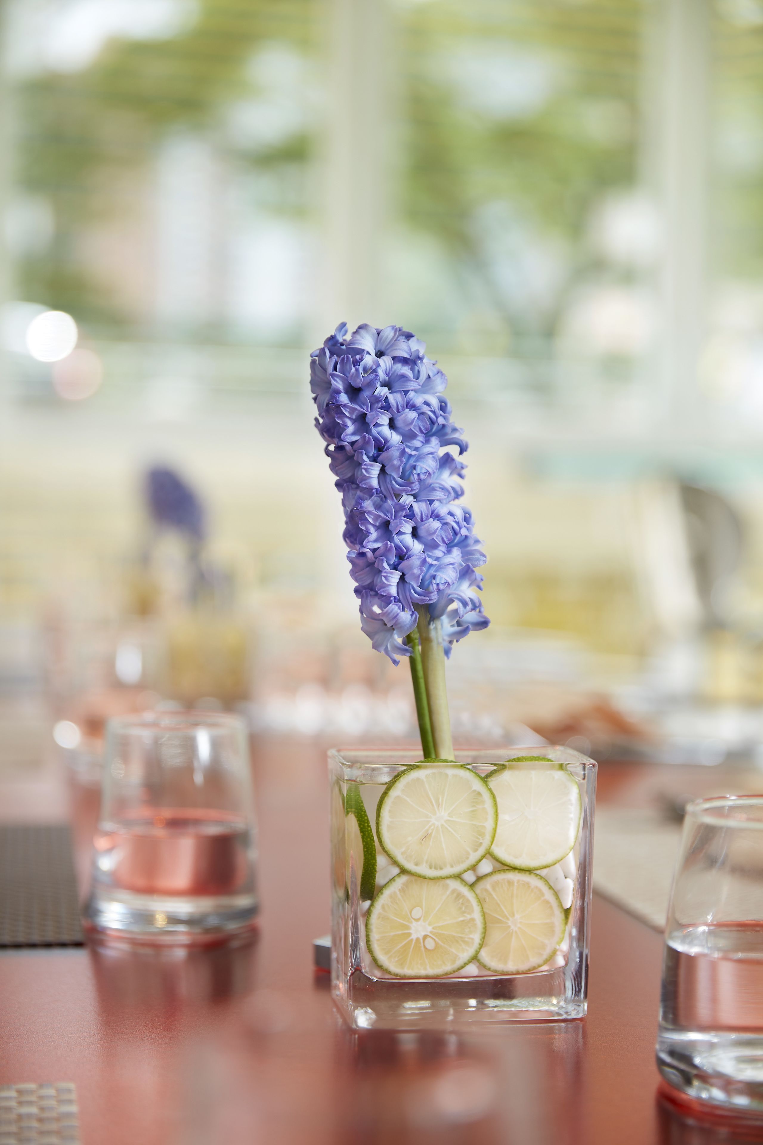 Elysion Place Hotel Causeway Bay