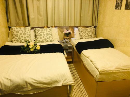 Hoi To Hostel