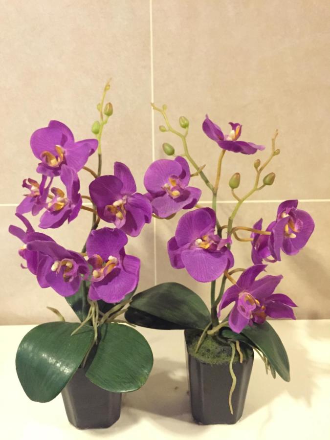 Caritas Bianchi Lodge