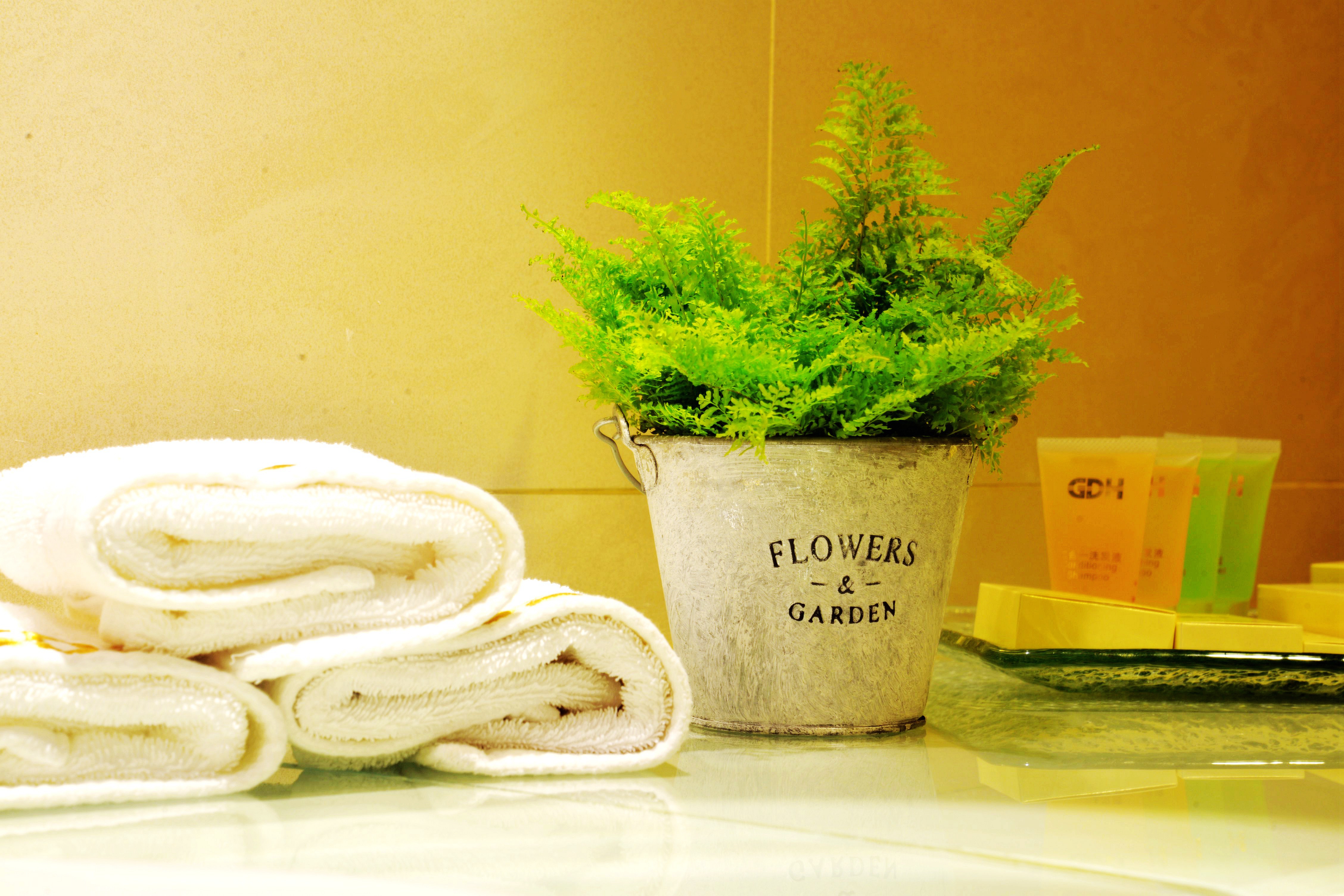 OASIS AVENUE – A GDH HOTEL