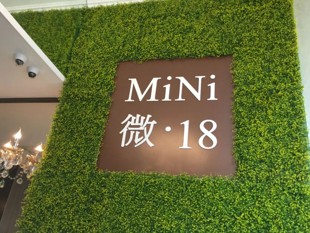 Mini 18 Hong Kong