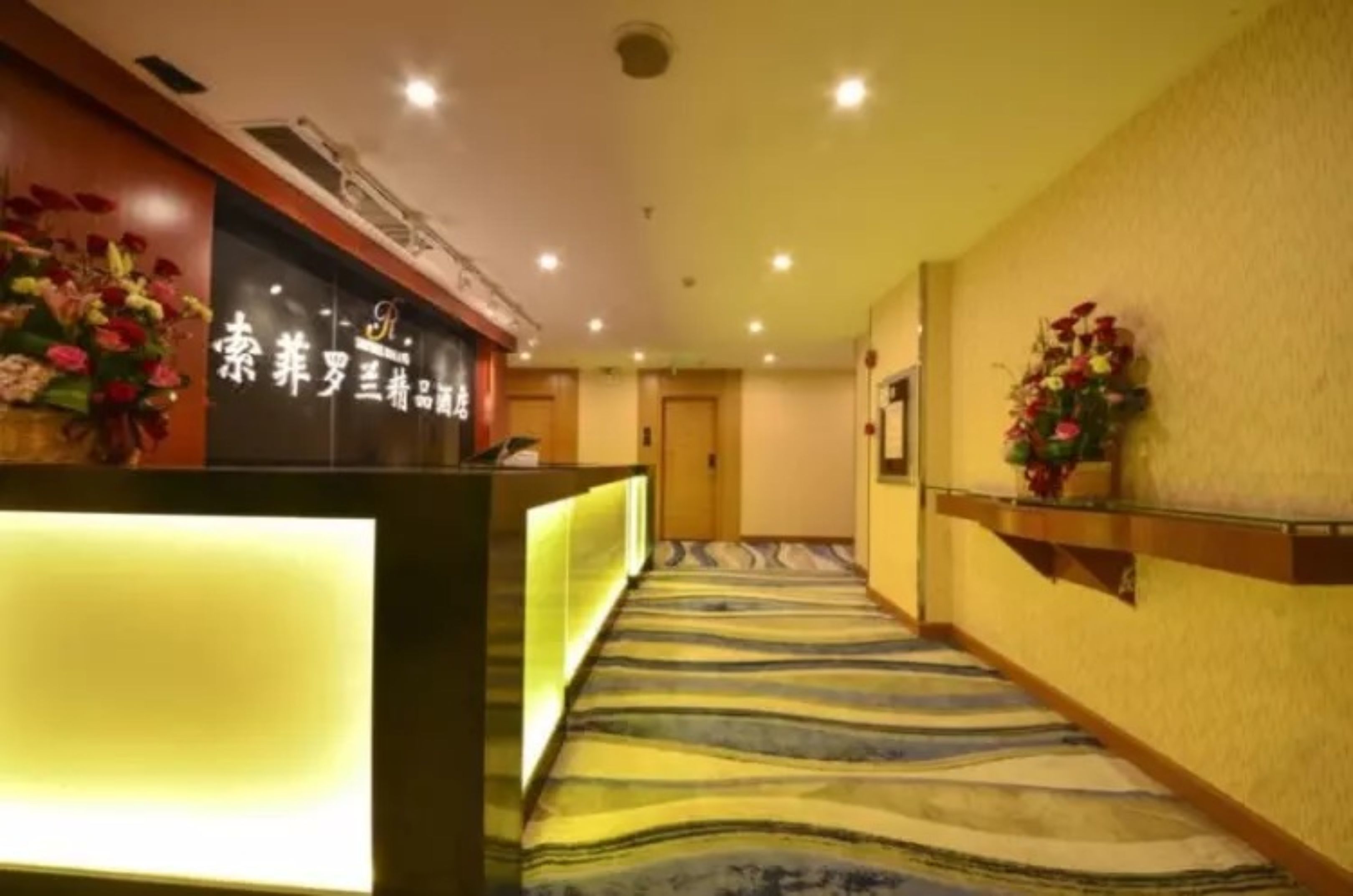 Sophie Roland Hotel Shenzhen Yuanling Branch