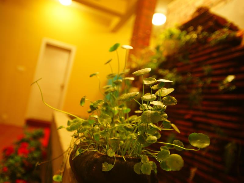 Gulangyu Weire Inn