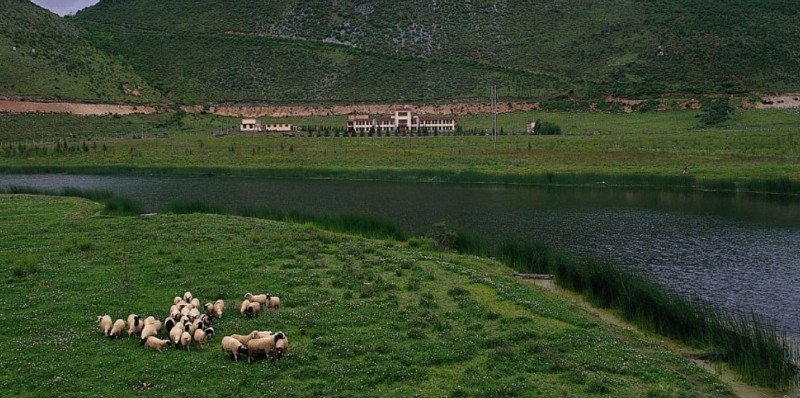 Gyalthang Dzong Hotel