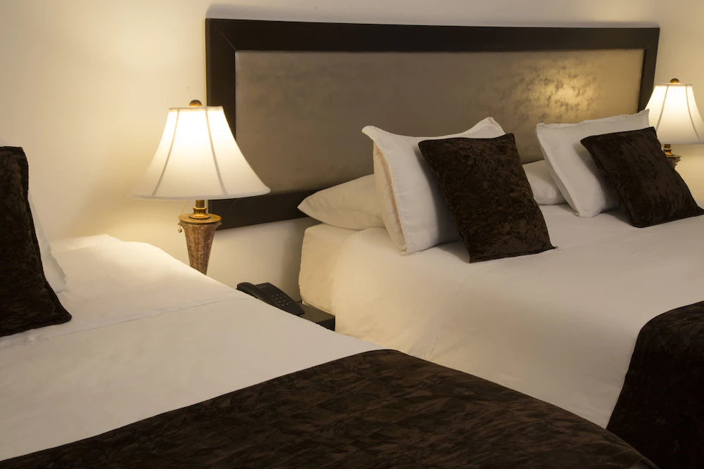 Hotel Eco Boutique