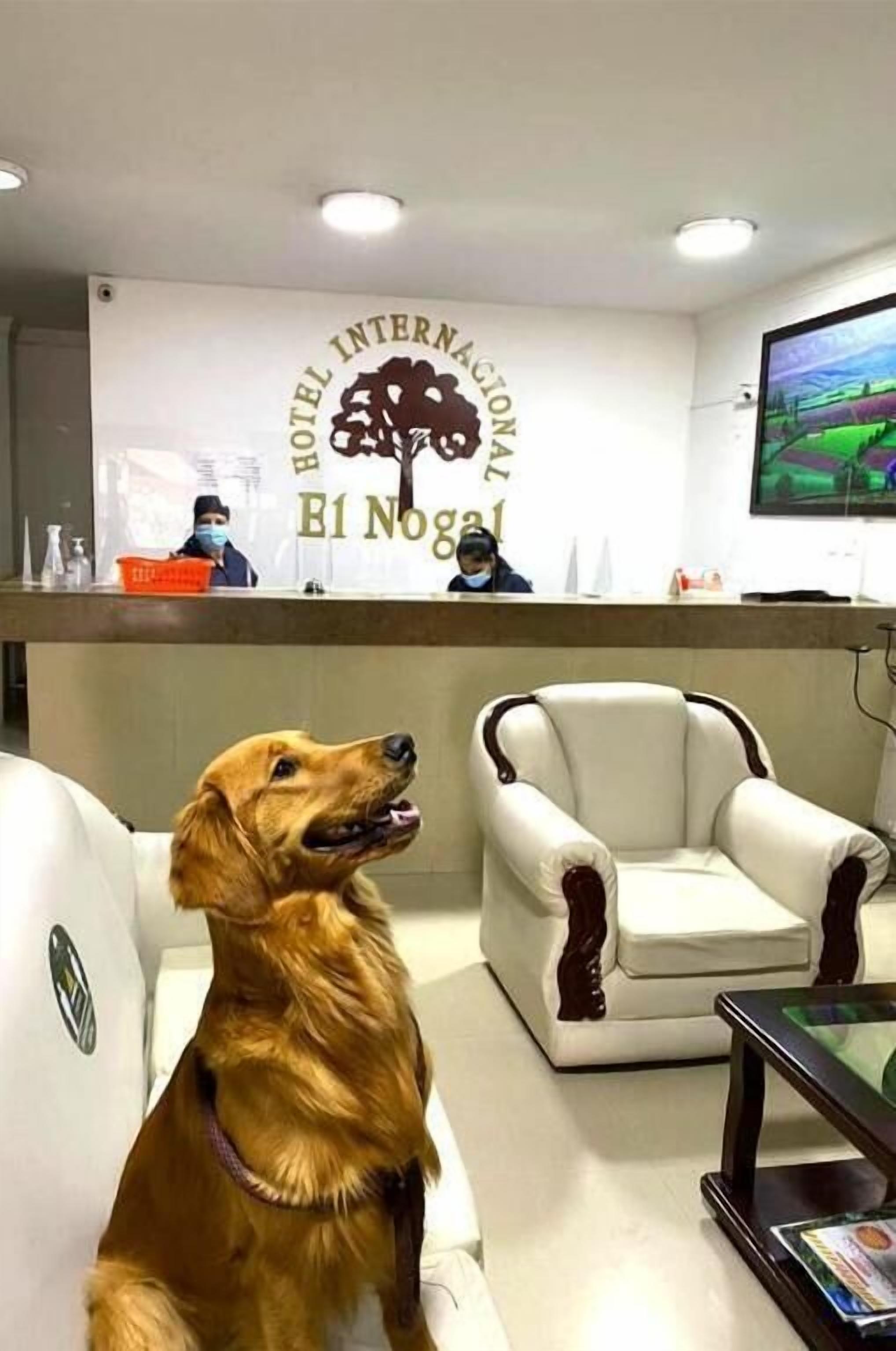 Hotel El Nogal