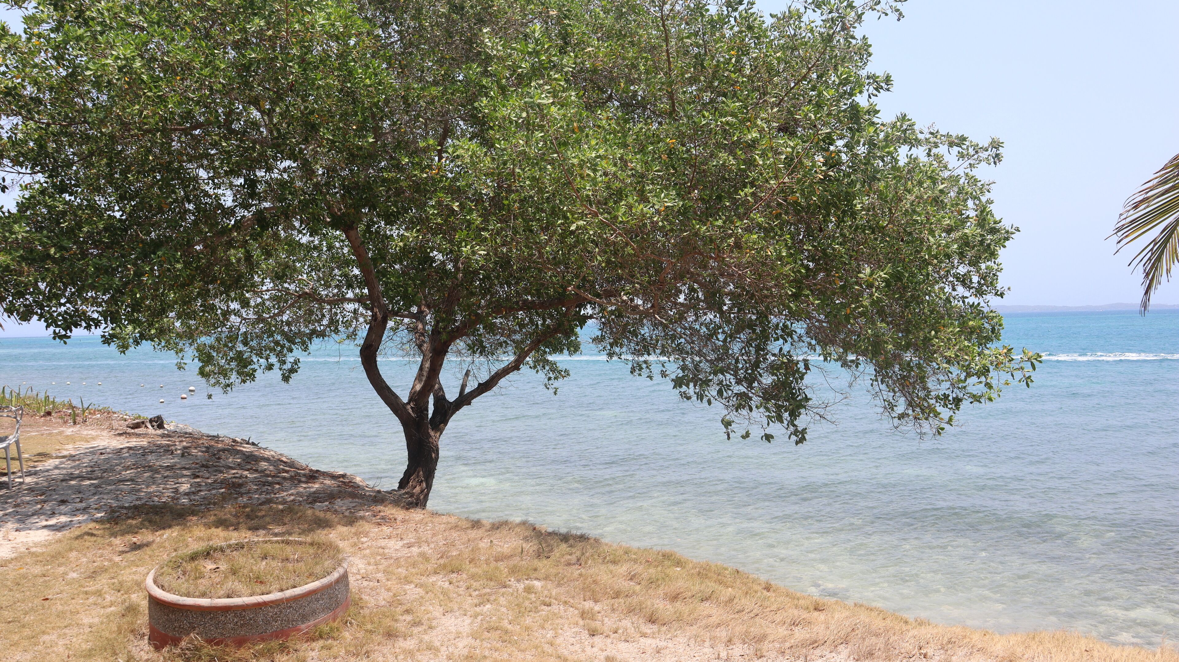 Hotel Rosario de Mar by Tequendama