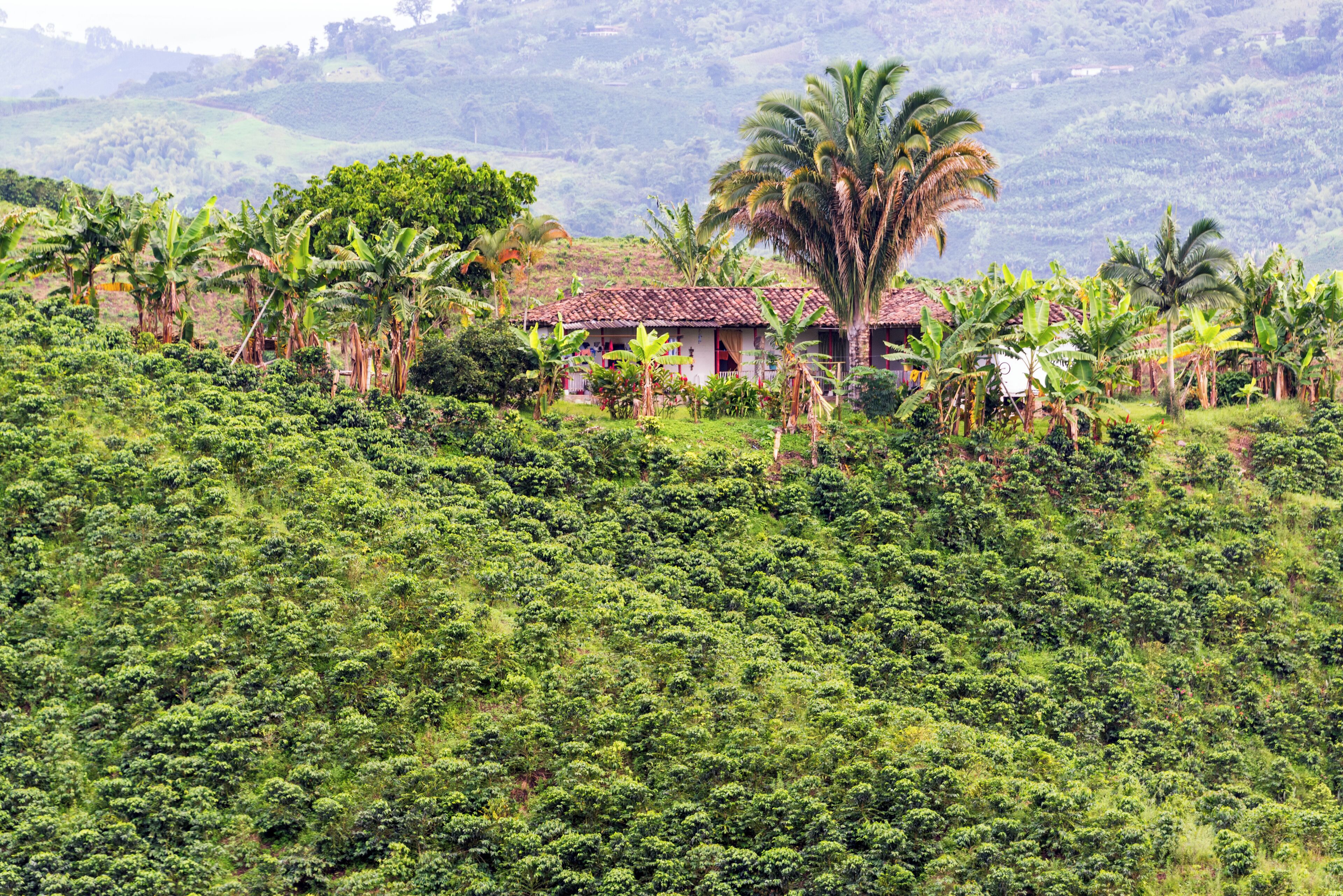 Casa San Carlos Lodge
