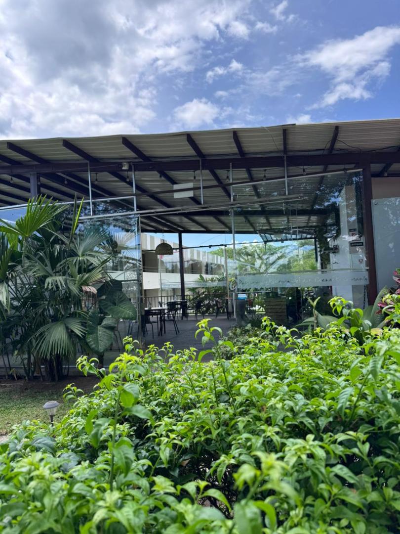 Hotel Palo Grande CF Pereira