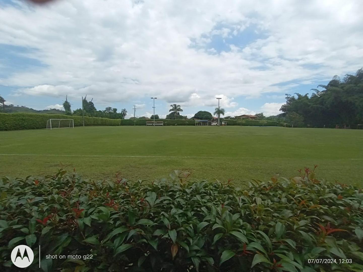 Hotel Palo Grande CF Pereira