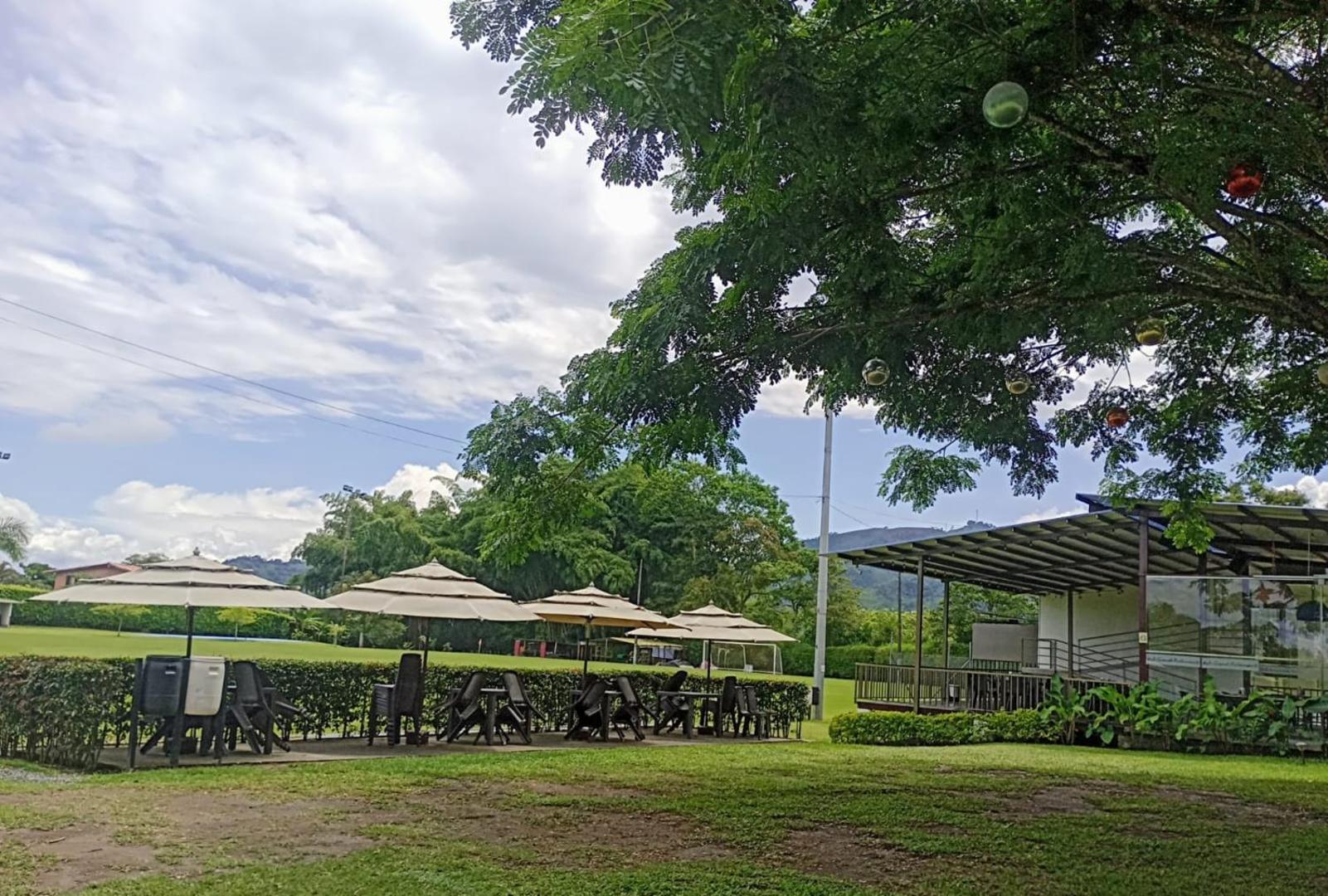 Hotel Palo Grande CF Pereira