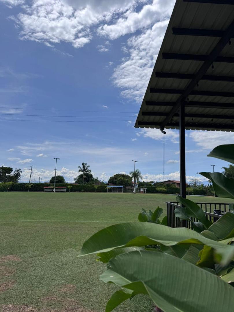 Hotel Palo Grande CF Pereira