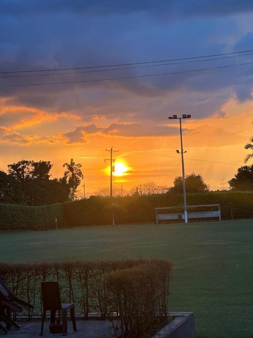 Hotel Palo Grande CF Pereira