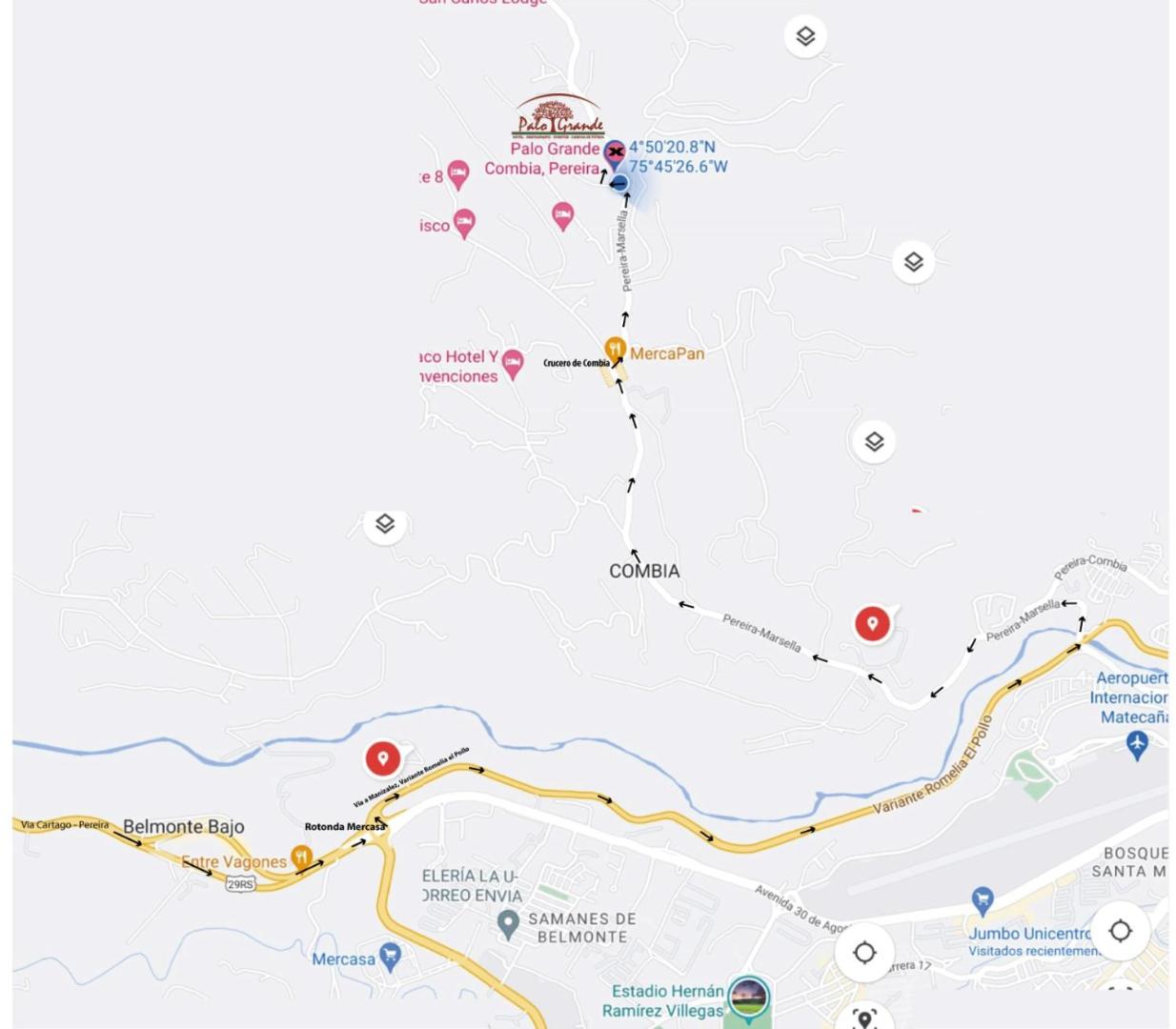 Hotel Palo Grande CF Pereira