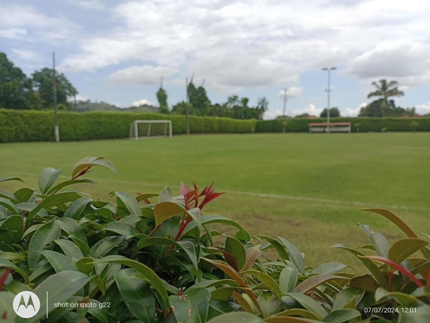 Hotel Palo Grande CF Pereira