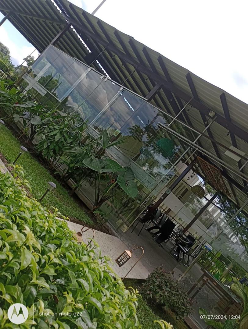 Hotel Palo Grande CF Pereira